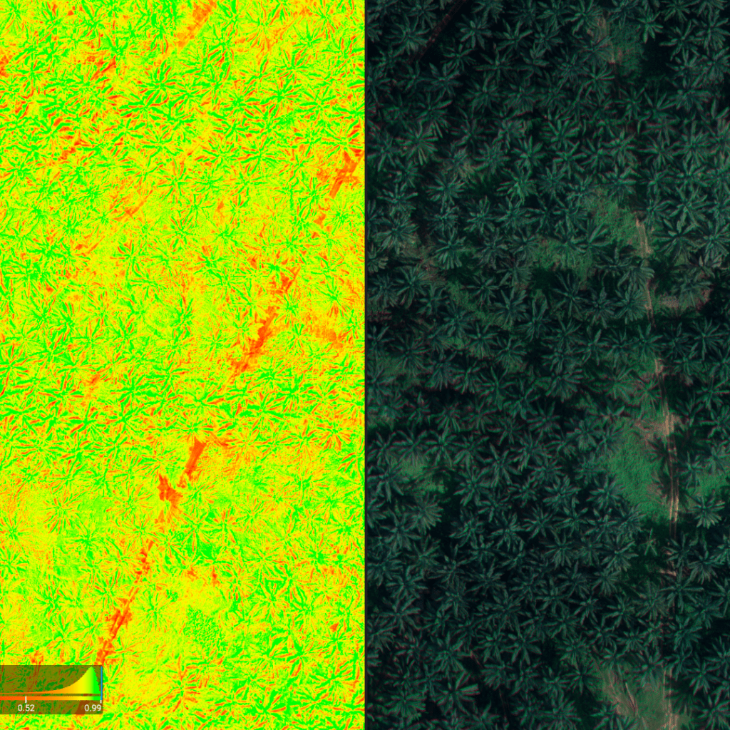 Aerial multispectral NDVI